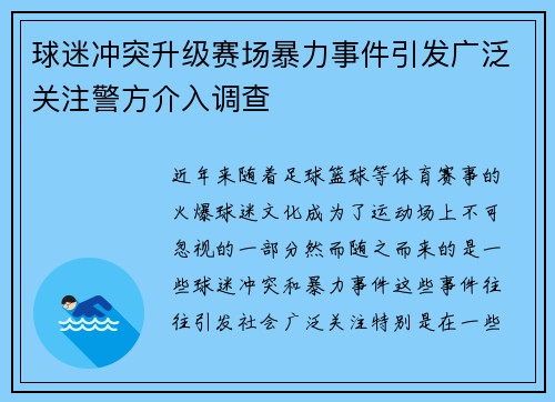 球迷冲突升级赛场暴力事件引发广泛关注警方介入调查